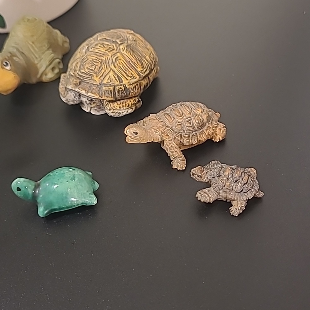 Mini Turtle Collection - Picture 4 of 6